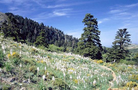 --------------------------0-0-0-0-0-0-0-0-0-0------------0-0-0-0-0-0-0-0-0-0-0-0-0-0.0-0-0-0-0-0-0-0-0-0-0-0-0-----0-0-0-0-0-0-0-0---0-0-0-0-0-0-0-0-0-0-0-0-0-0-0-0-0-0-0-0-0-0-0-0-0-0-0-0-000000000000000000000000000000000003