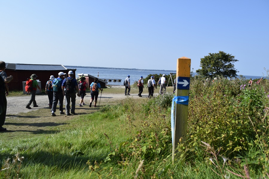 A-Aaaaa1aaaAAAaaaaaaeurorandosuecia4.1