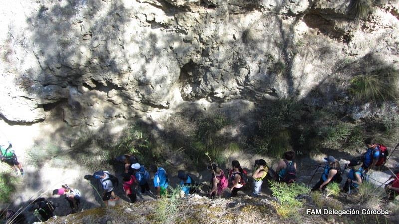 A-Aaaaa1aaaAAAaaactocordoba2