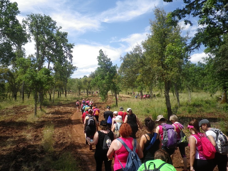 A-Aaaaa1aaaAAAaaactofinalsevilla2