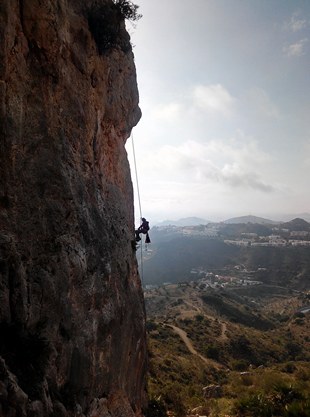 A-Aaaaa1aaaAAAaaanico1