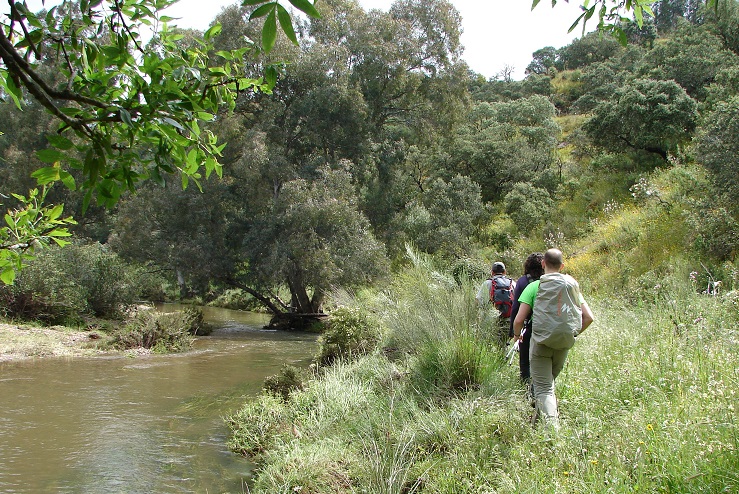 A-Aaaaa1aaaAAAaaencuentroiberico4