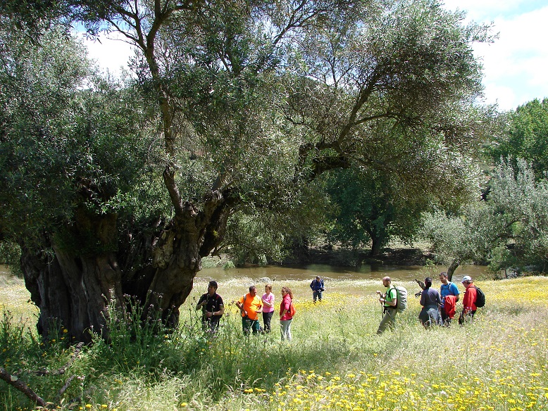 A-Aaaaa1aaaAAAaaencuentroiberico6