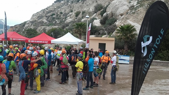 A-Aaaaa1aaaAAAacoparallis2