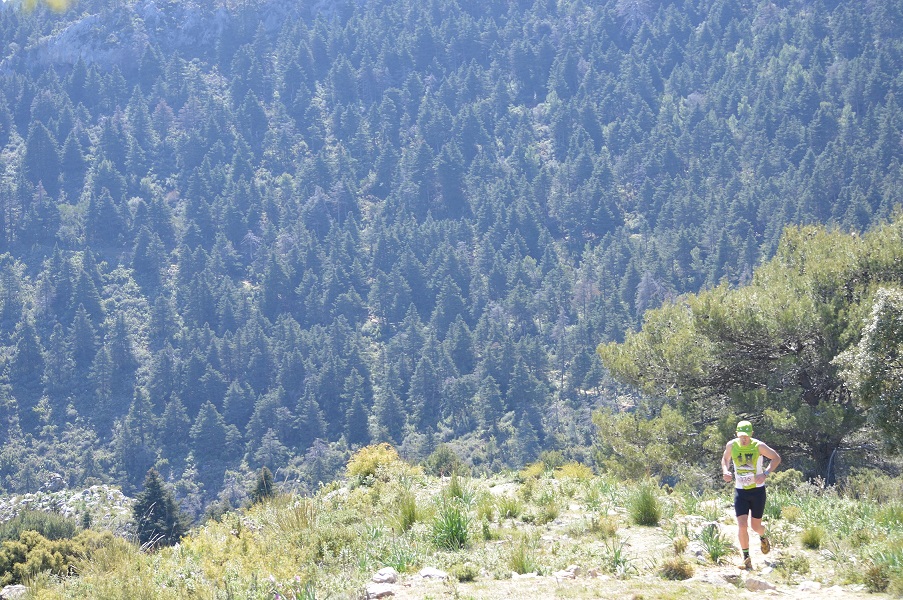 A-Aaaaa1aaaAAAapinsapo3