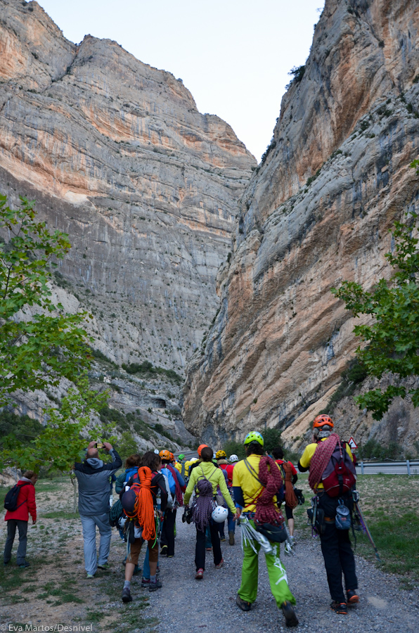 A-Aaaaa1aaaligarallies3