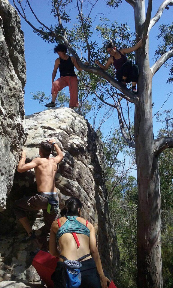 A-Aaaaaaaaaaaaaaaaaaaaaaaaaaaaaaaaaaaaaacaee41