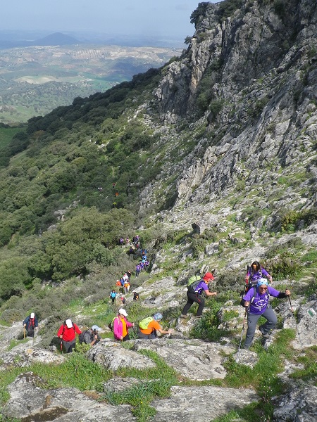 A-Aaaaaaaaaaaaaaaaaveteranos2