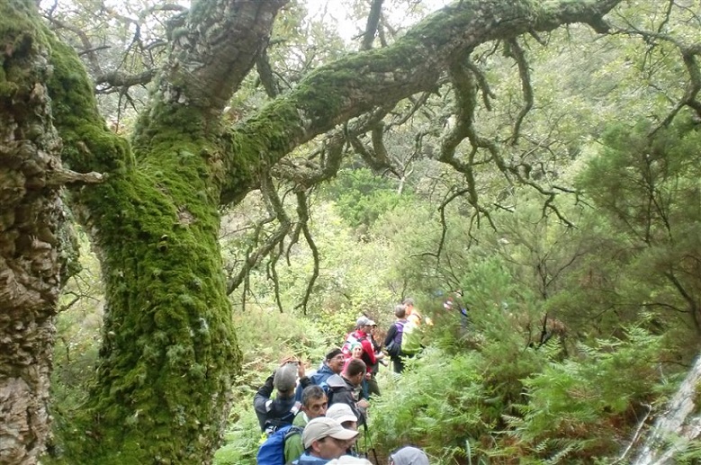 A-Alcornocales2012 19